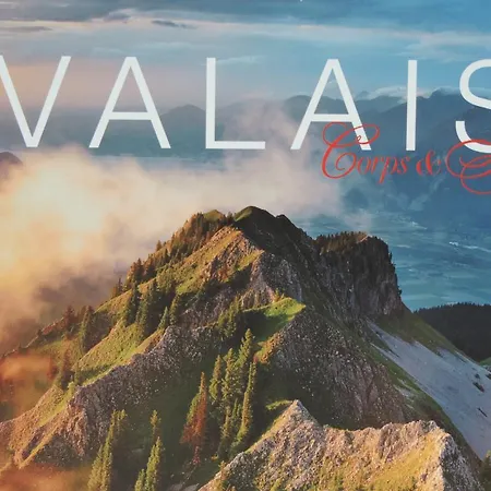 アパート La Cordee Valais Bürchen